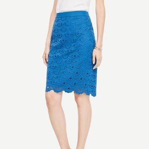 Ann Taylor circle lace blue skirt